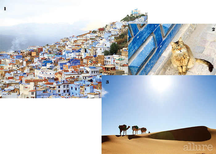 1 온통 푸르른 도시, 셰프샤우엔. 2 거리에서 자주 마주치는 길고양이. 3 사하라의 사막.