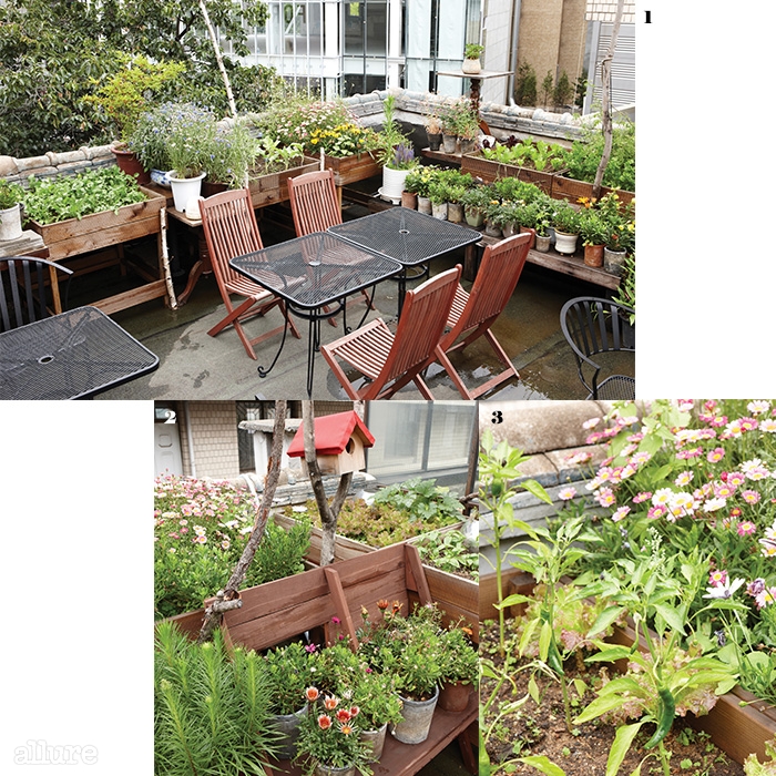 1 너른 테이블이 마련되어 있어 간단히 차를 즐기거나 대기하는 시간에도 이용할 수 있는 에이블의 옥상. 2 옥상을 가득 채우고 있는 꽃과 채소들 3 수확을 기다리는 잘 자란 고추