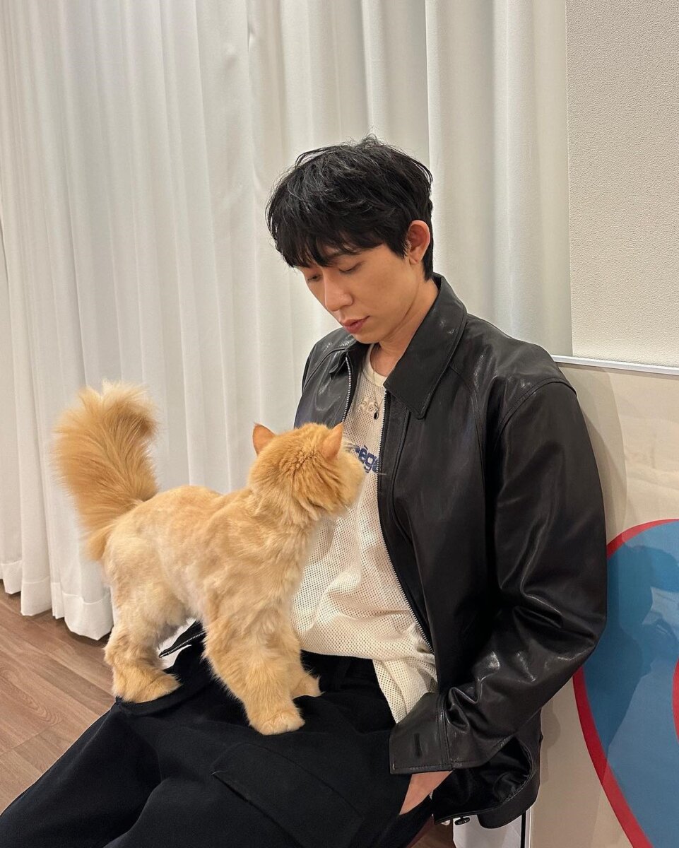 화이트쿤스트 이미지