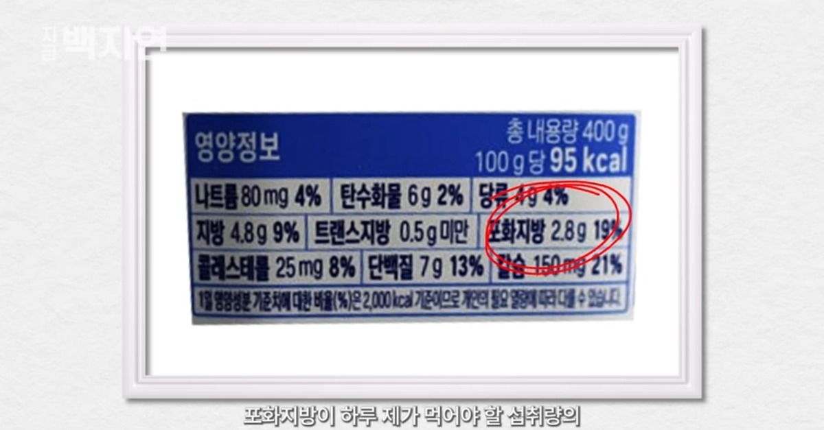 백지연의 건강한 아침 식단