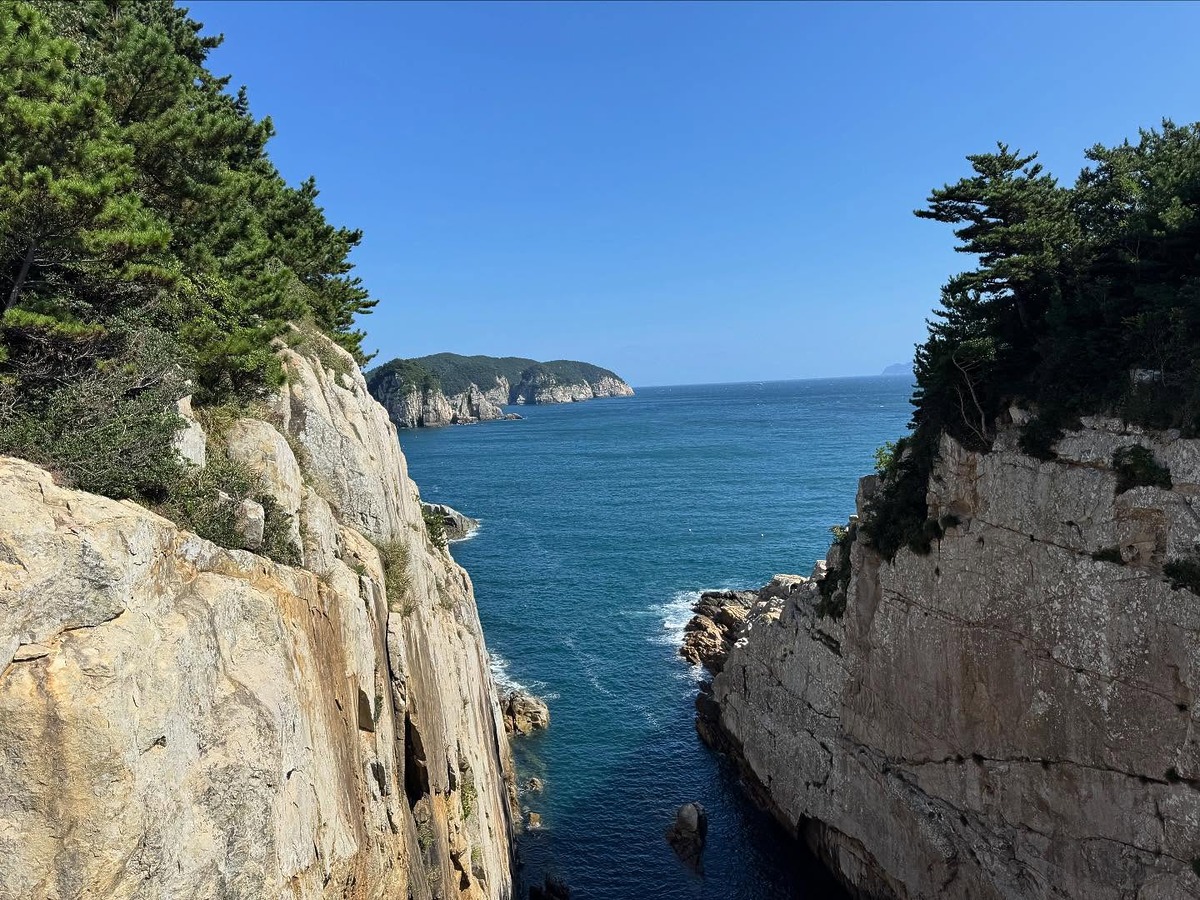 홍진경 인생조언 고명환