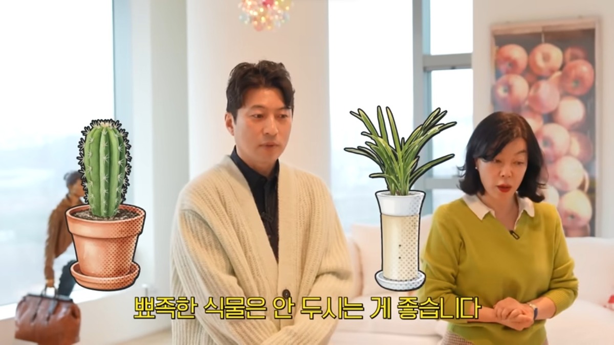 최화정 인테리어 풍수지리