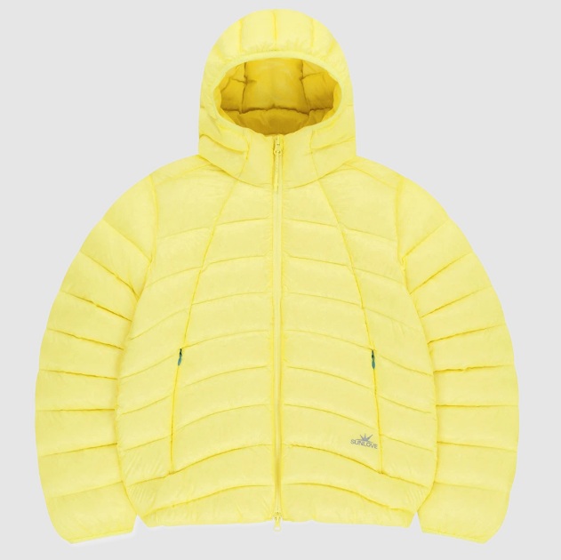 컬러패딩 최강희