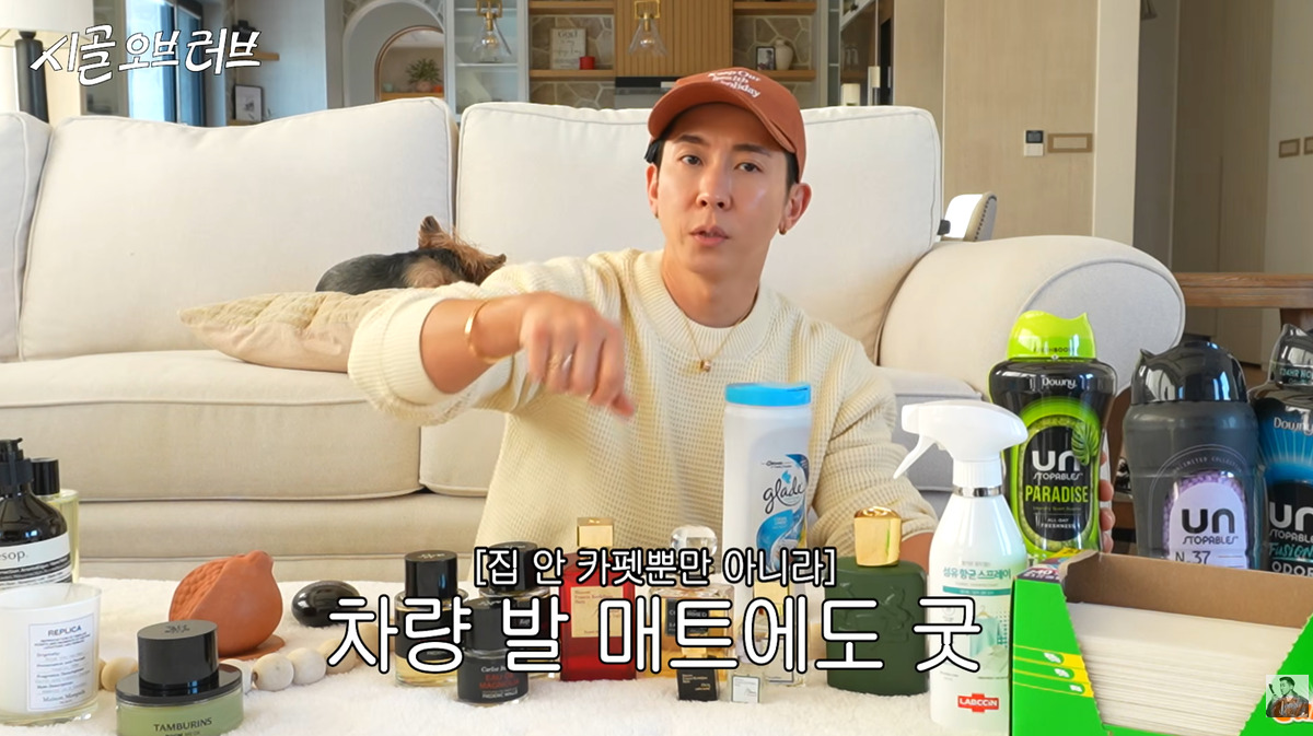 브라이언 카페트 세제 카펫 세제 추천