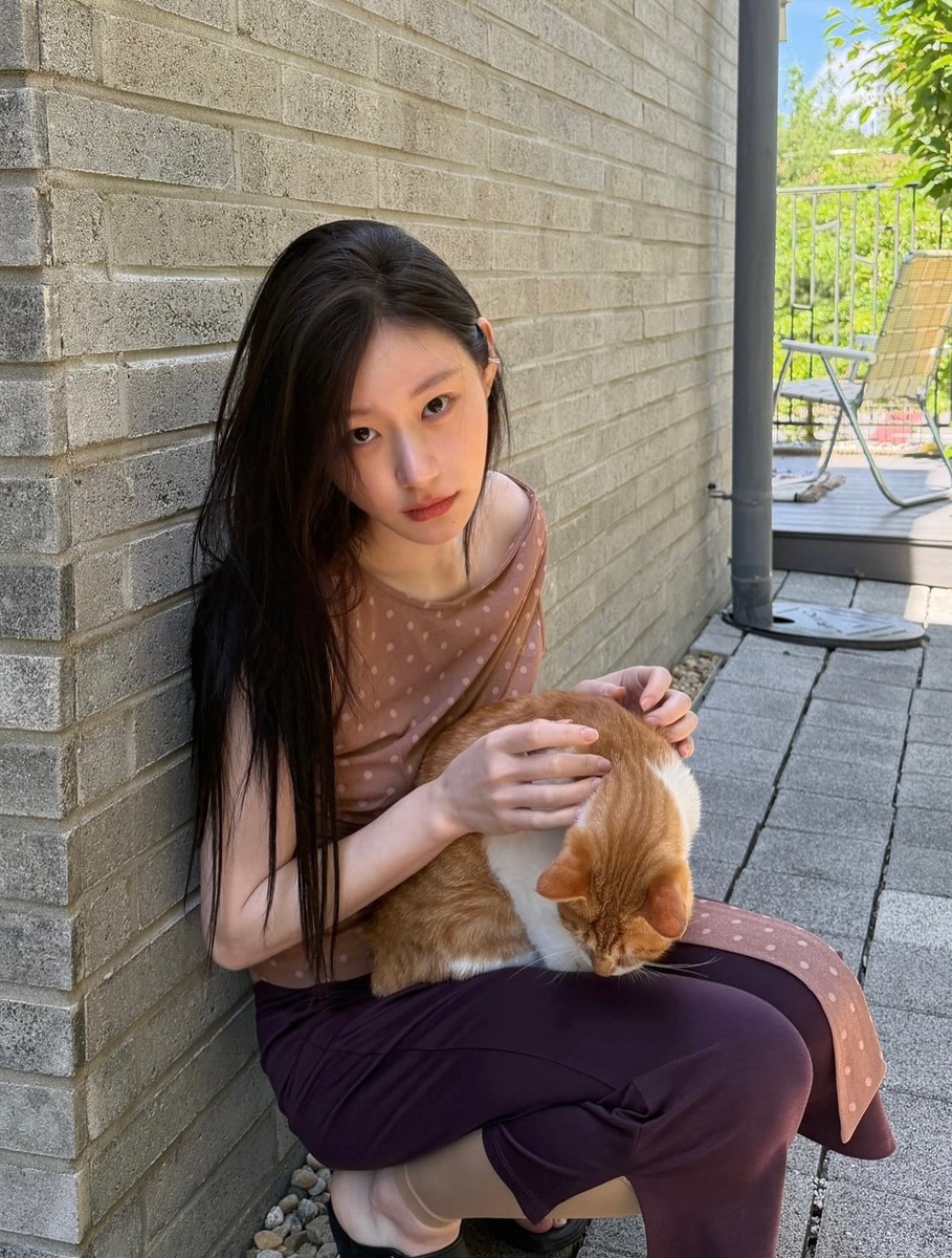 채령 도트